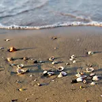 In 49968 * Bibione